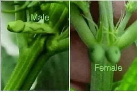 FB_IMG_1603829158629