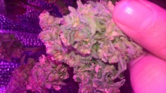 WP_20201031_17_28_27_Pro