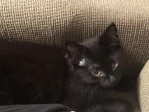 5CE941D8-684A-44E4-8FDD-497D08CB805B