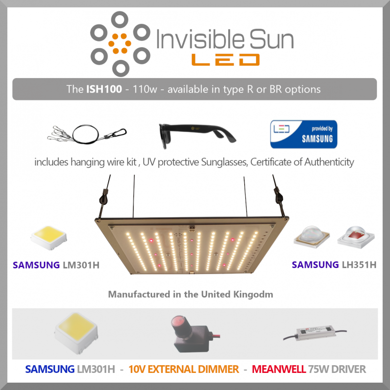 ish100brUPDATEDADVERT_1296x