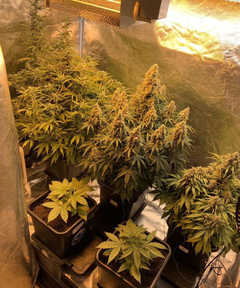 37857C4B-0C06-4FE7-9CDF-85B6F69188FD