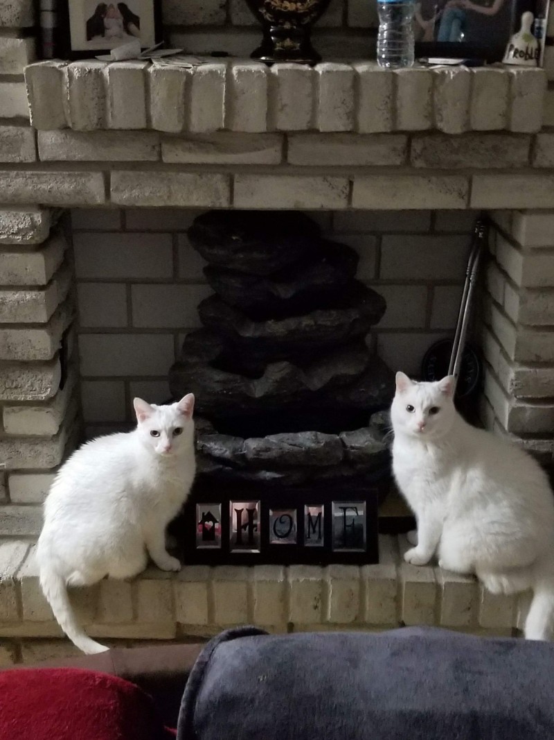 USER_SCOPED_TEMP_DATA_orca_share_media1605468118458_6733821351121381498