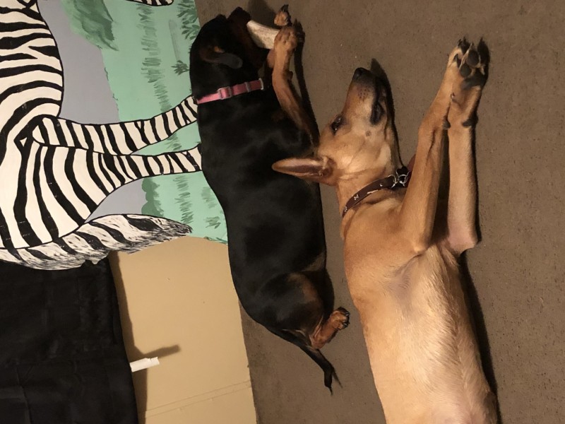 0C996BC2-5FDC-4E10-B1C4-353D082ADF42