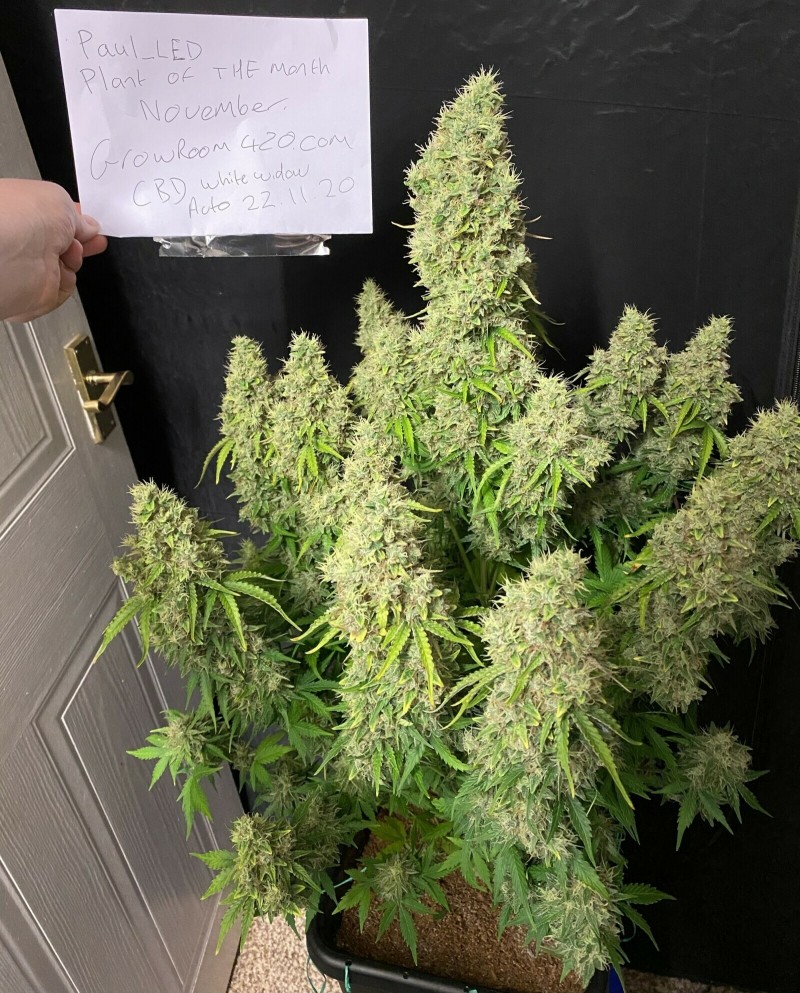 6AE41098-F7B3-4364-89BD-8B9D11CC4964