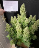 6AE41098-F7B3-4364-89BD-8B9D11CC4964