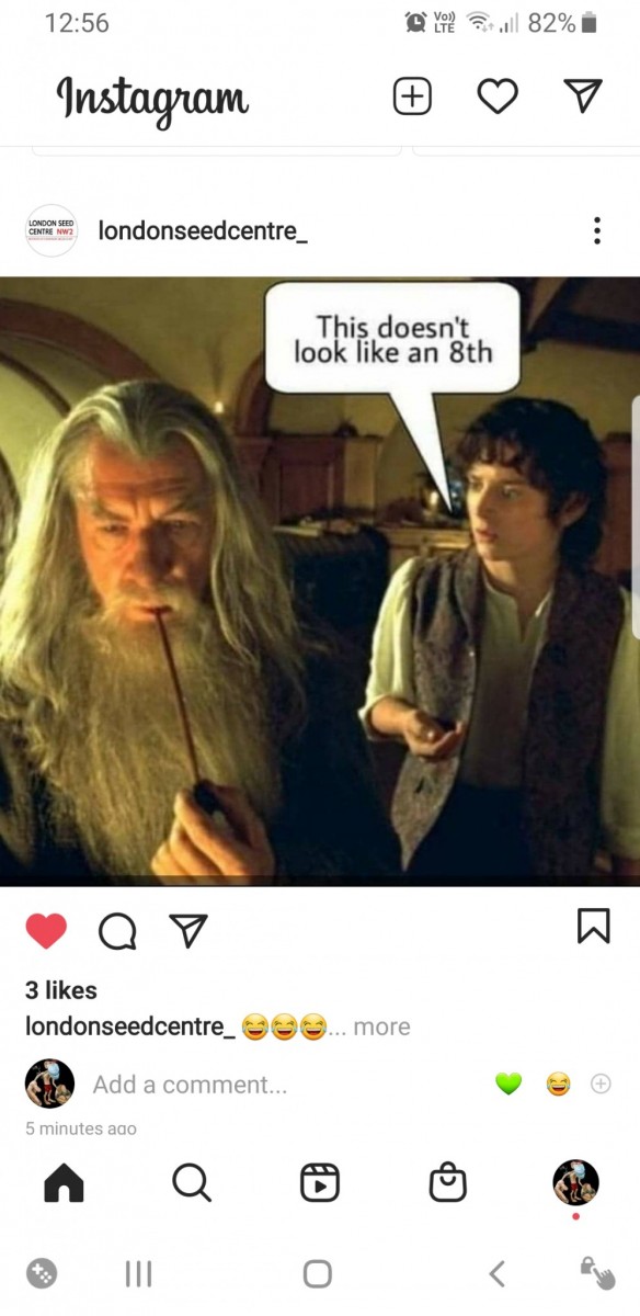 Screenshot_20201124-125619_Instagram