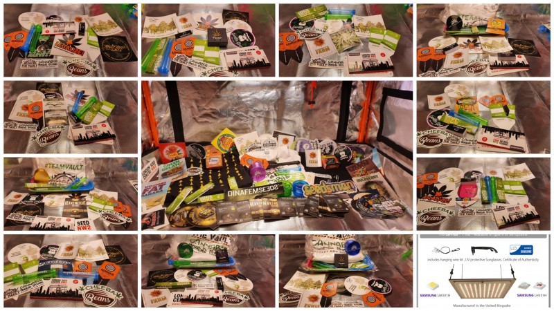 CollageMaker_20201127_160301932