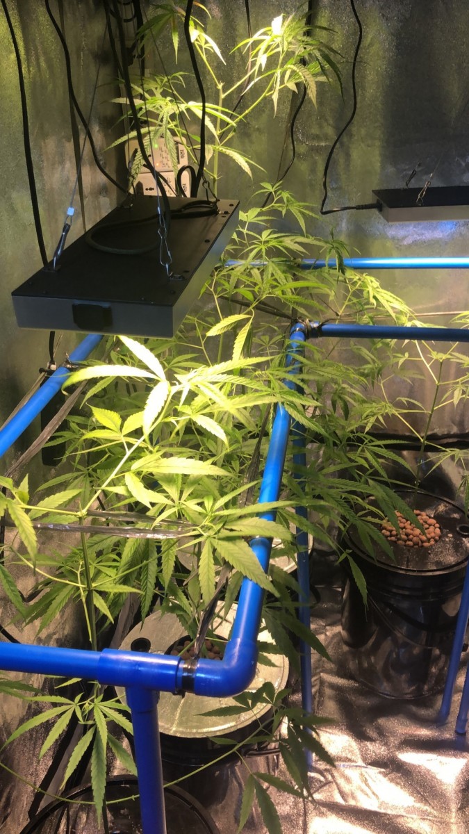 89C0349C-297C-4995-B65E-4A033B792A45