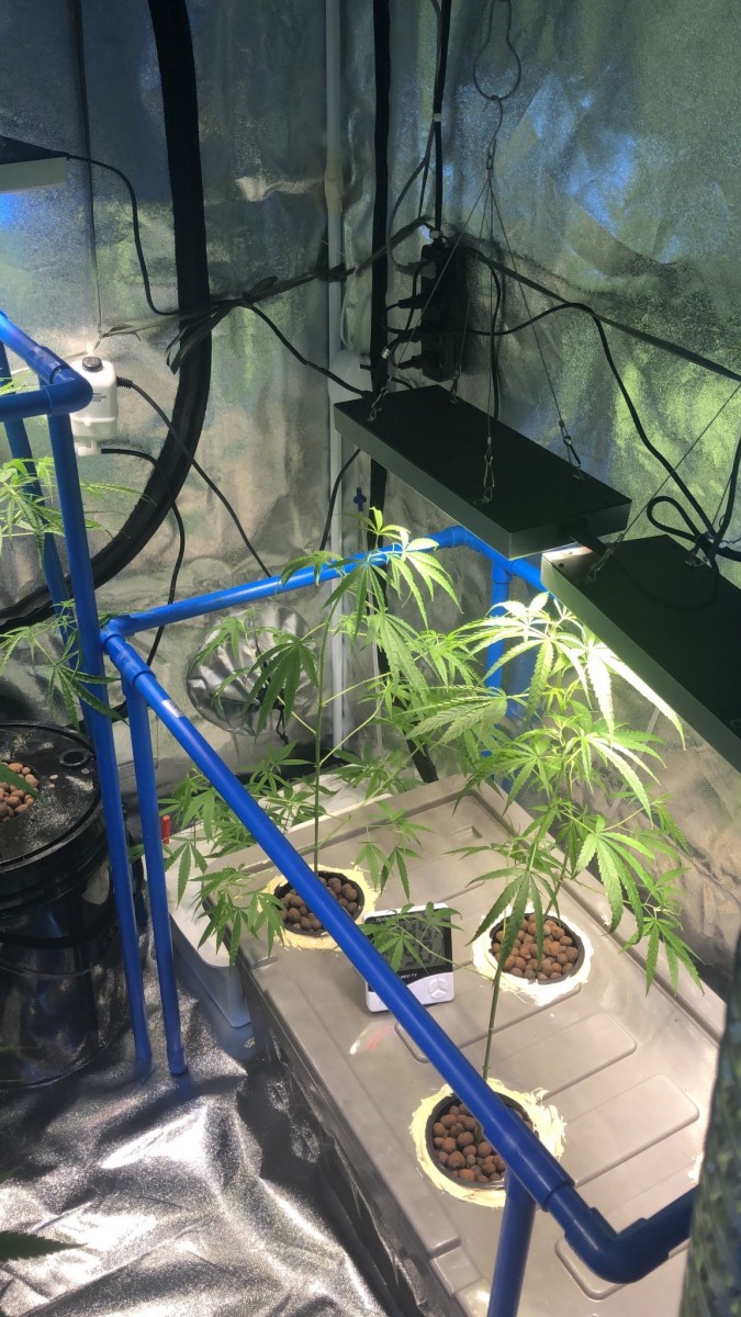 E777F9E3-E214-4E20-9500-DB45476A70F5