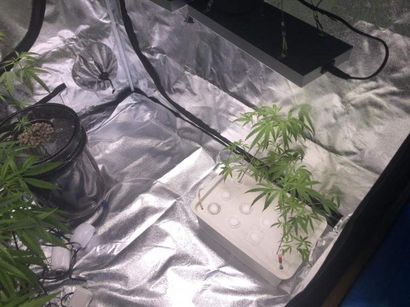 A2C45F33-795C-4F35-8410-5F9CB75DD143