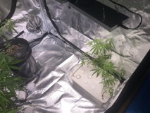 A2C45F33-795C-4F35-8410-5F9CB75DD143