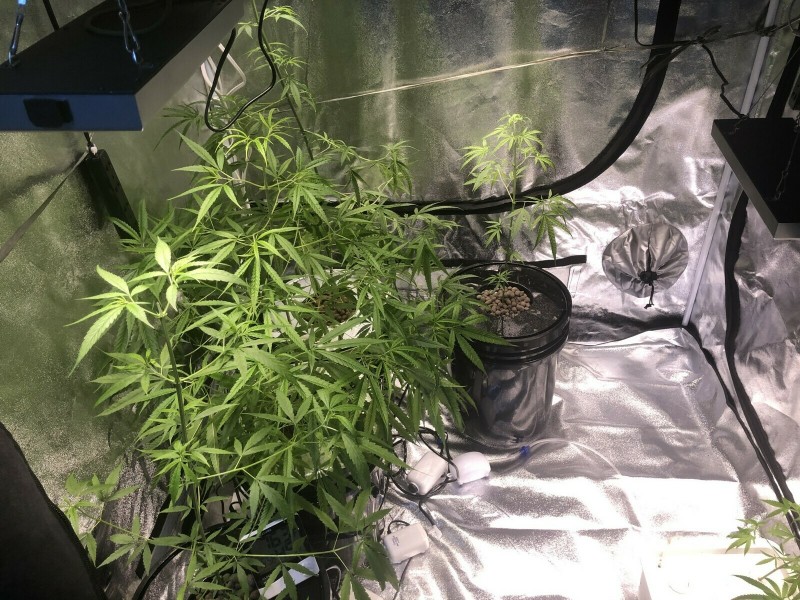 0083F6D3-F9C0-496F-9404-16F3566AA2F0