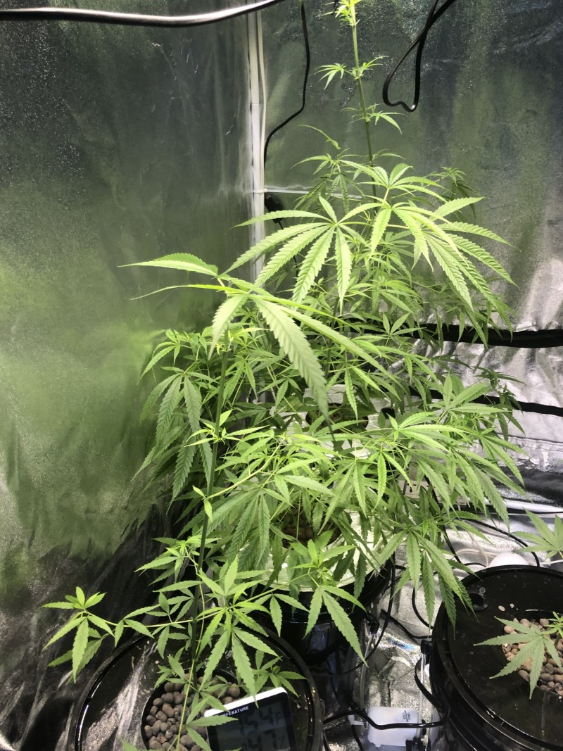 1513A4CE-7856-484E-B71F-C216D6E6925B