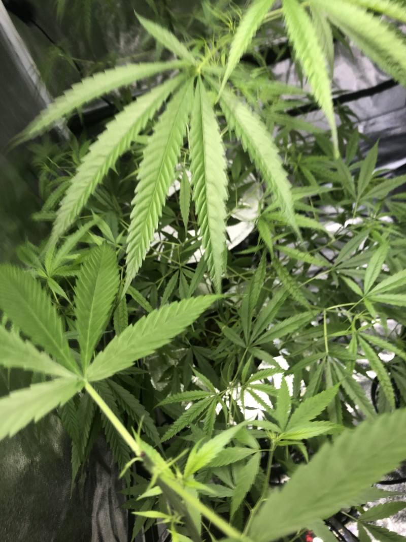 033A7E4C-9F55-4087-84AE-5DF14CB81DC0