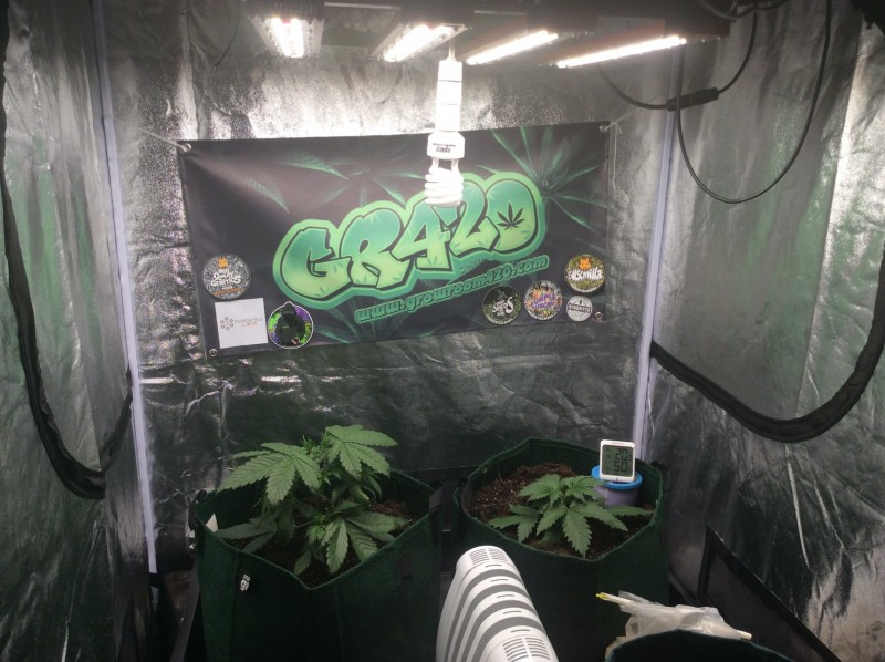 0D2F0F87-E242-433D-80A6-51D31DFBF289