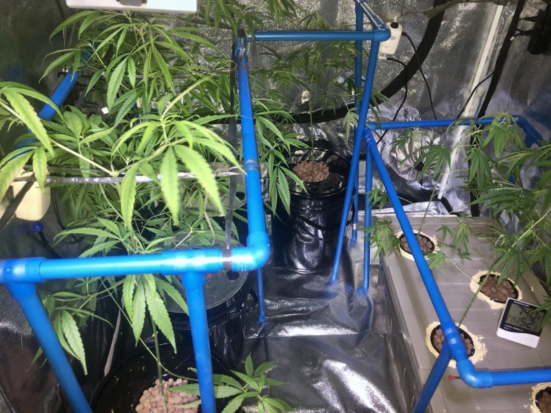 FDCE6920-61B4-469C-9BE9-1FA75750449B