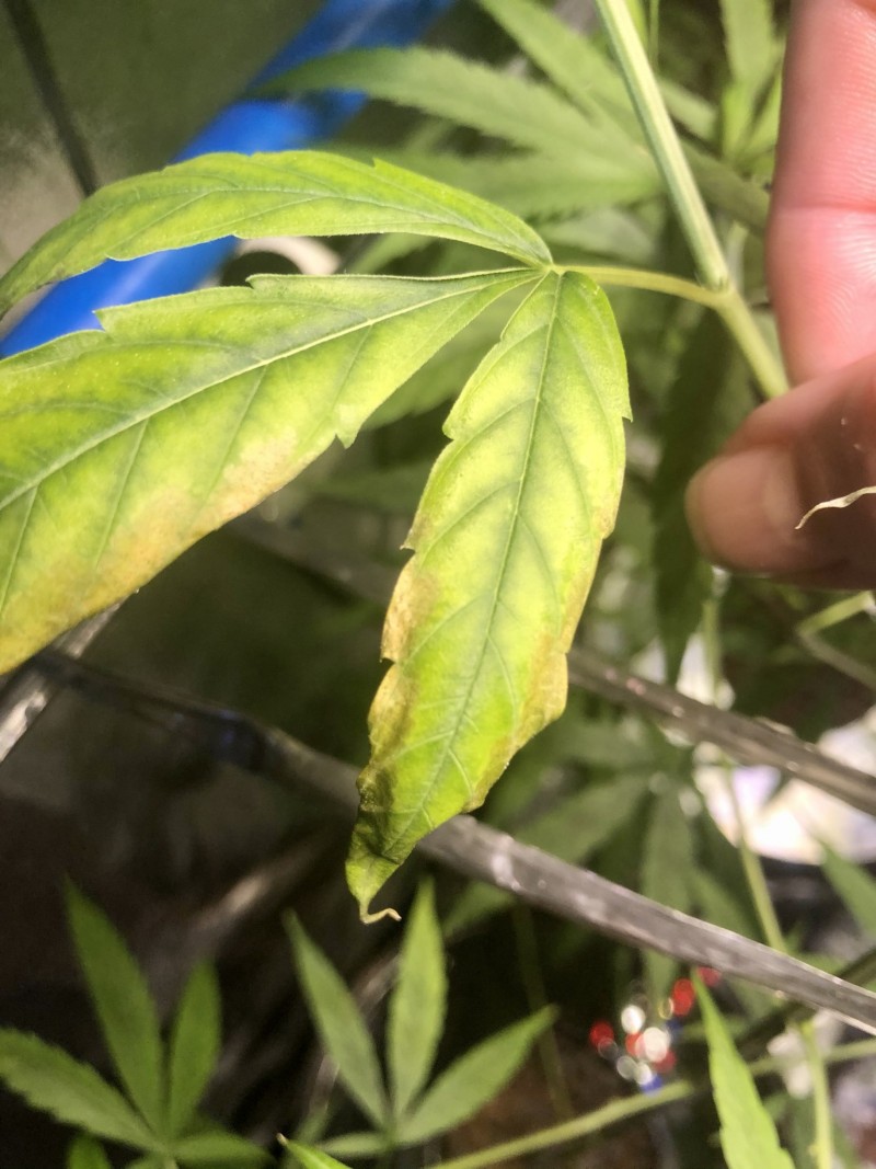 ED3A7609-57C7-41FD-AF08-76794620BE39