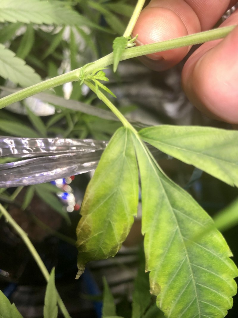 8B2B2798-E22C-46DF-BFD6-125D87E7A54C