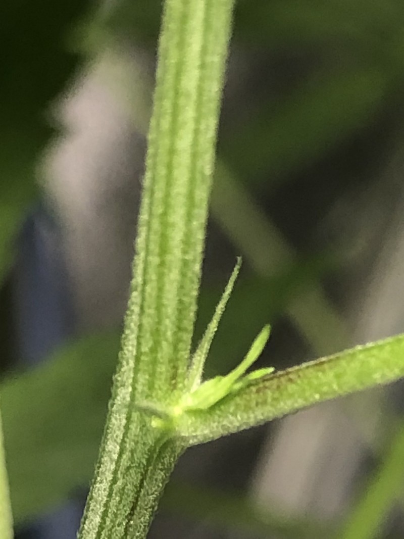 B3AA6EEF-4F41-44B5-9BE1-10BF99D662D3