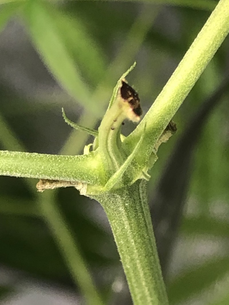 C7D18EA4-1073-4ED8-8390-725305AC50D9