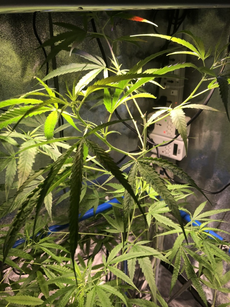 2CB570D5-97B4-4DE5-9B71-91220E9543C7