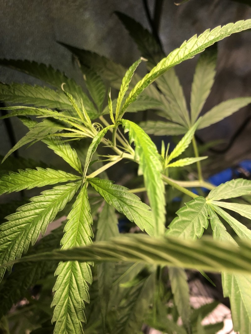 213A68EE-9AC7-4F49-985E-9A94CC062385