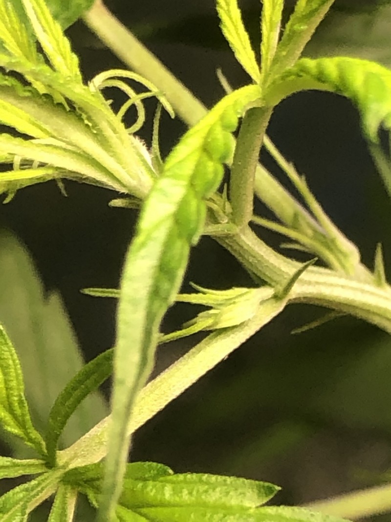 86C6F767-624E-461C-917C-73385457FC60