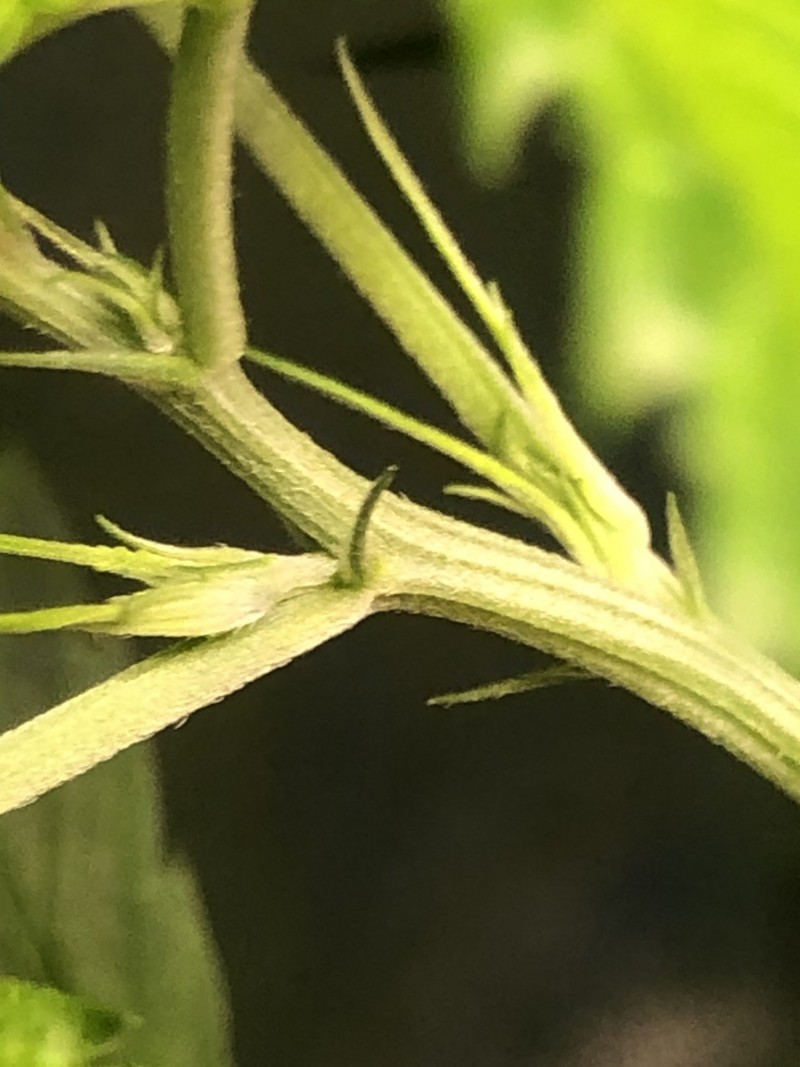 098EF327-70E6-4D42-ABB3-B9312EF2F47C