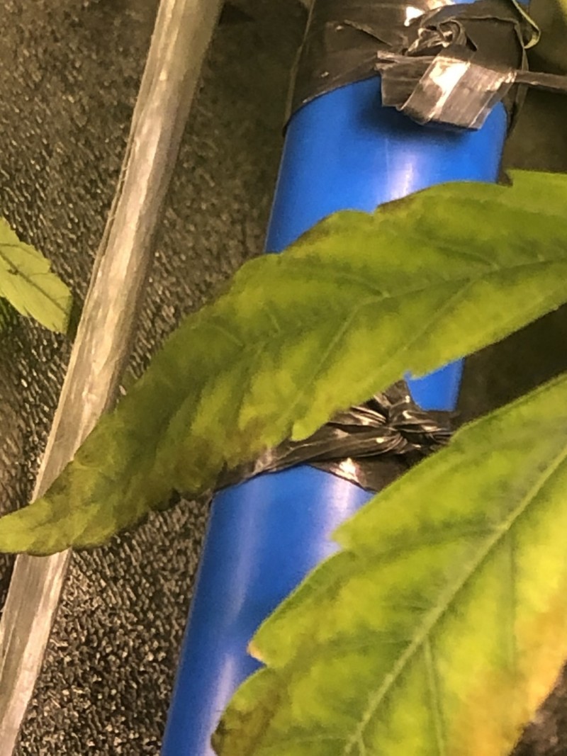 295DB384-42AE-4B64-B3C7-F83D980DF618