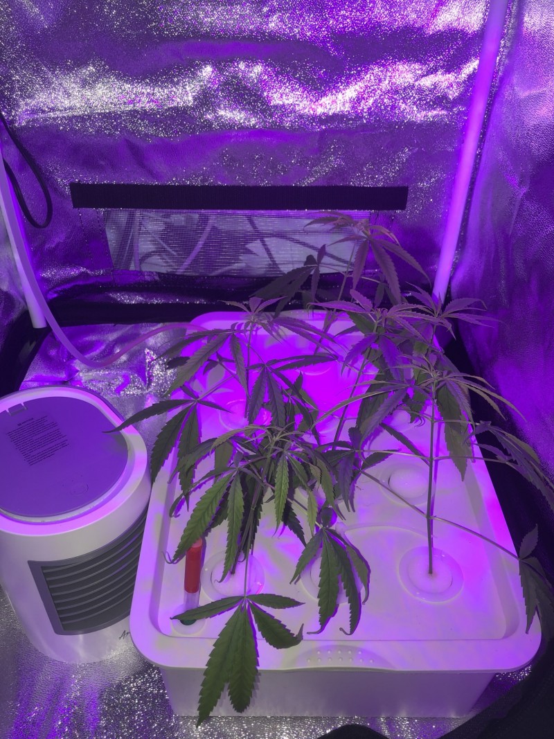 58653AE6-5B7A-4A62-9AAC-8744E38E29A6