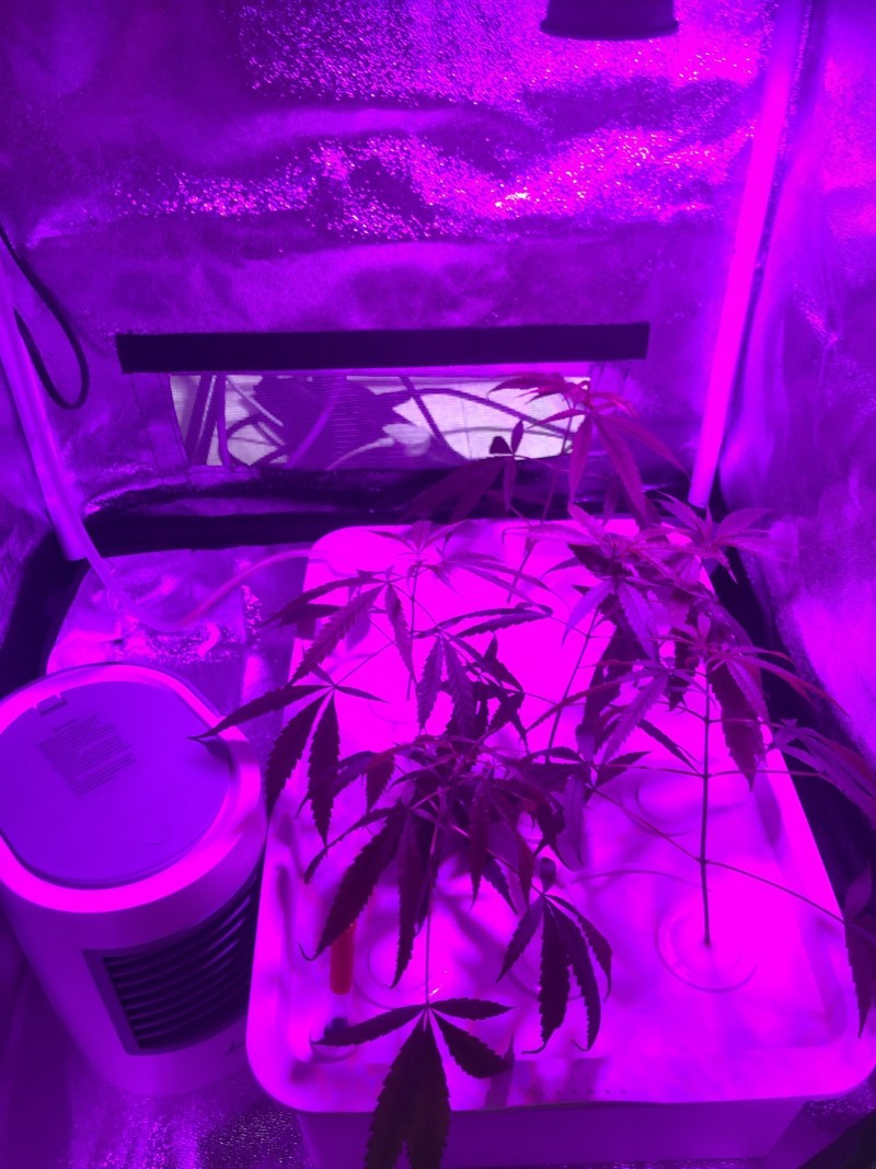 270C4732-A839-4002-B9C3-9A1A4CB0192E