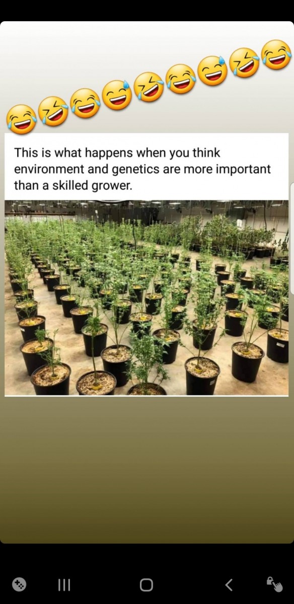 Screenshot_20201204-122121_Instagram