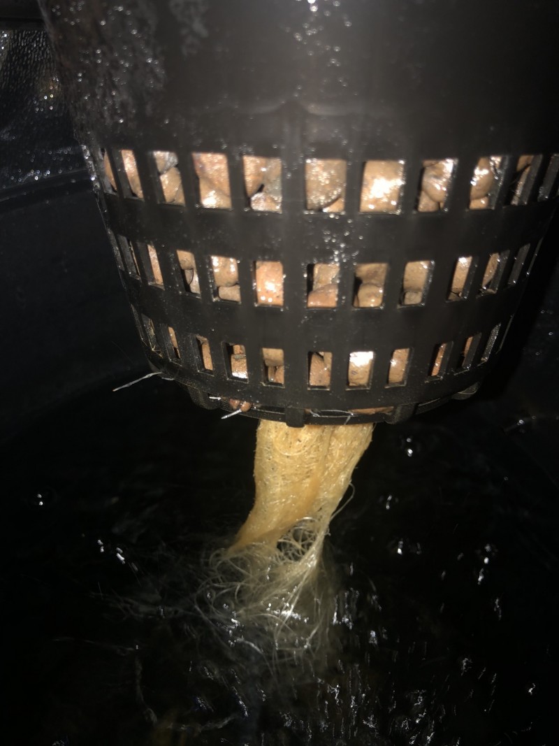 434839E6-F06F-4DB5-A23C-C9E25573E5A5