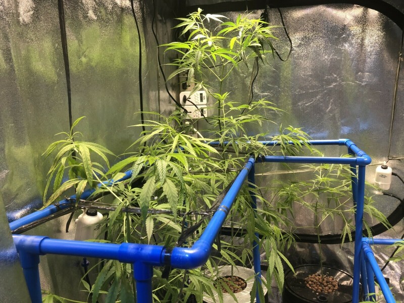 D9C4A71C-C034-482C-9936-7D782F0C678C