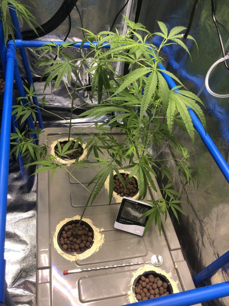 F593DB56-1DA1-464D-8E89-672CBE6AD2B9