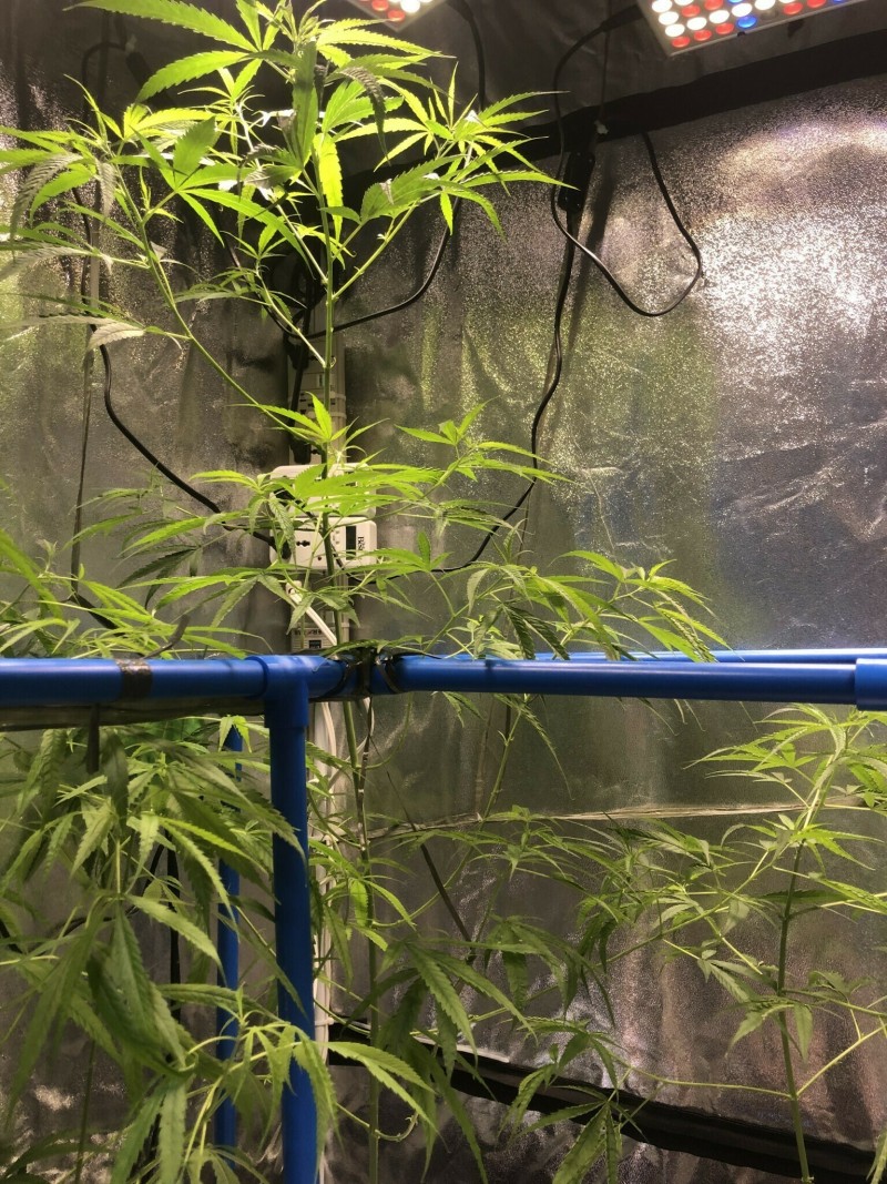 52392B83-C748-436B-B664-8D805D3B70D7