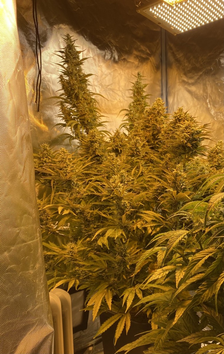 EB642A94-E14B-4A1E-8723-EF820241E808