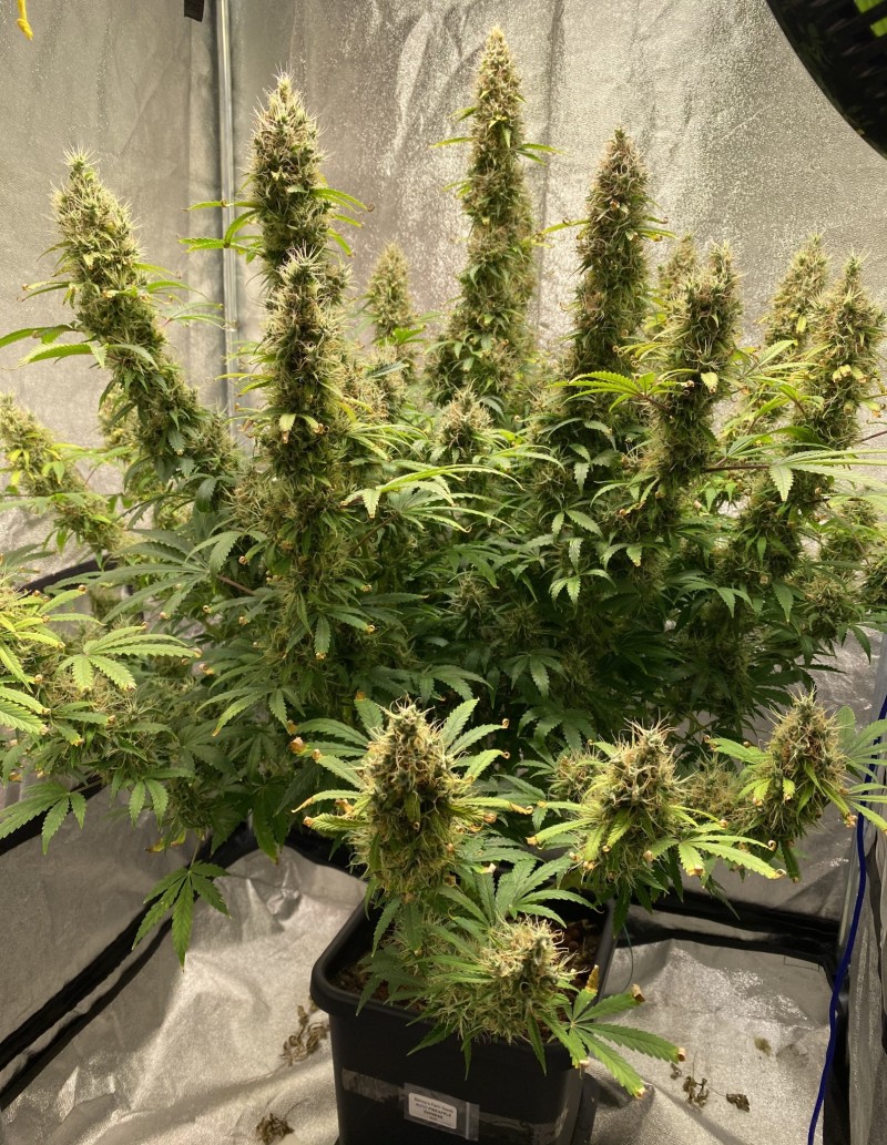 E6C09DEE-62E7-4B40-9B33-744CCFD4379F