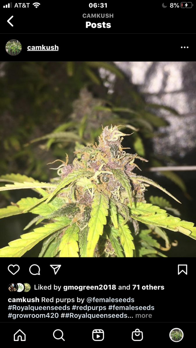 10CE9DEE-0E39-438A-8AB0-0F6DD6846CD8