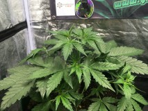 6183C4B8-6FE7-4DA0-8579-04DA6772FDA9