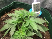 F8B63521-FD1D-42EF-ACD5-A5C7CC66CAB0