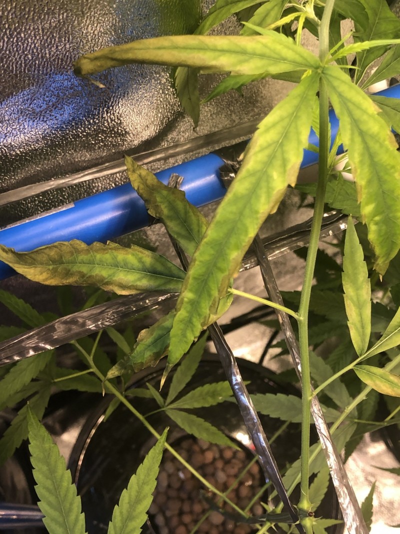 54EA1970-1729-432A-B577-05445BC4D1A7