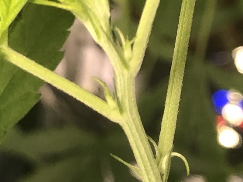 30826330-6151-4714-8AA7-9687C323EC6D