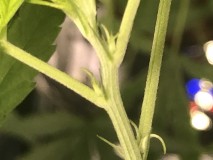 30826330-6151-4714-8AA7-9687C323EC6D