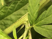 43A027BC-F0FE-4DAD-A5D9-3B04F1D93B0C