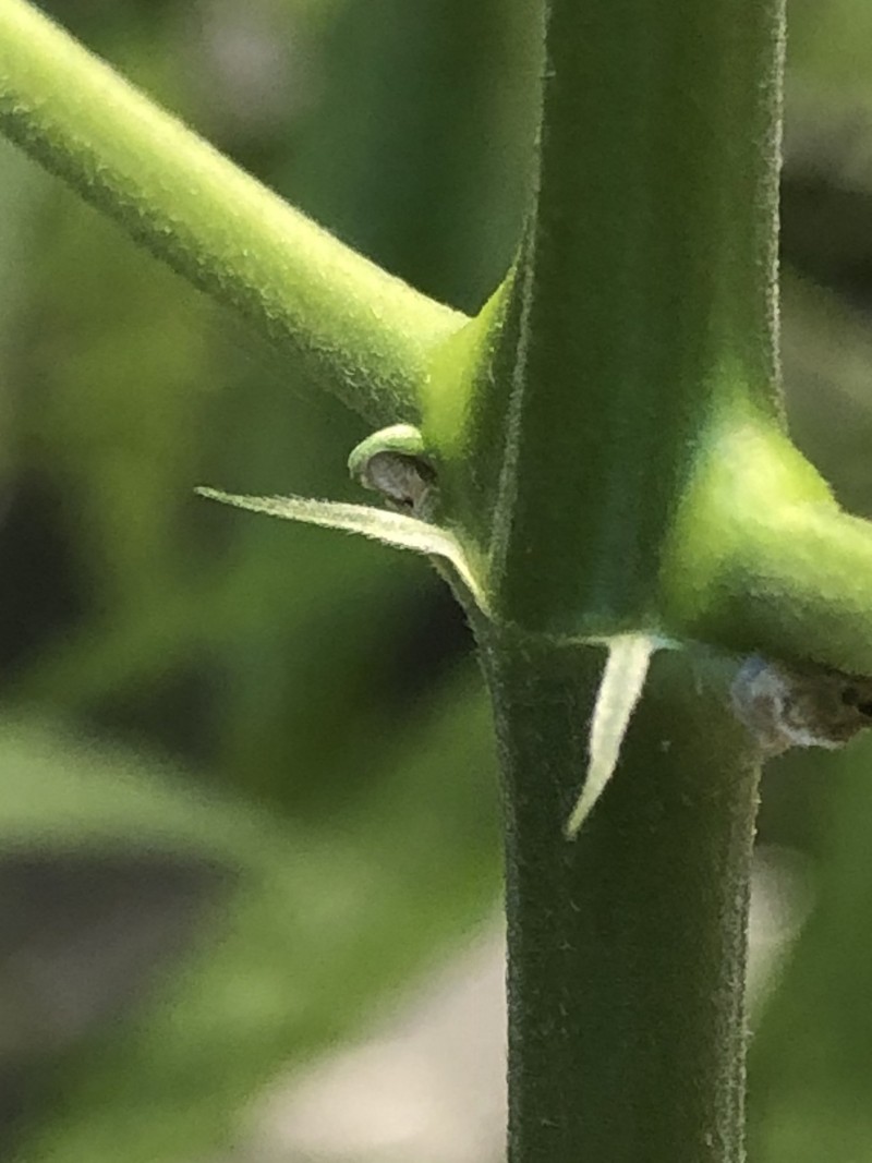 50FC480D-7432-4785-B023-7D96701D5047