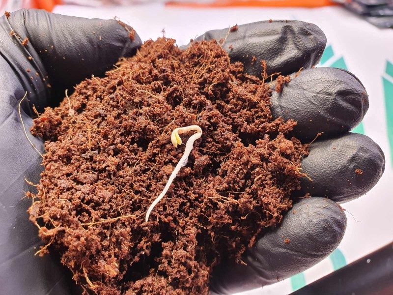 IMG_20201206_193024_855