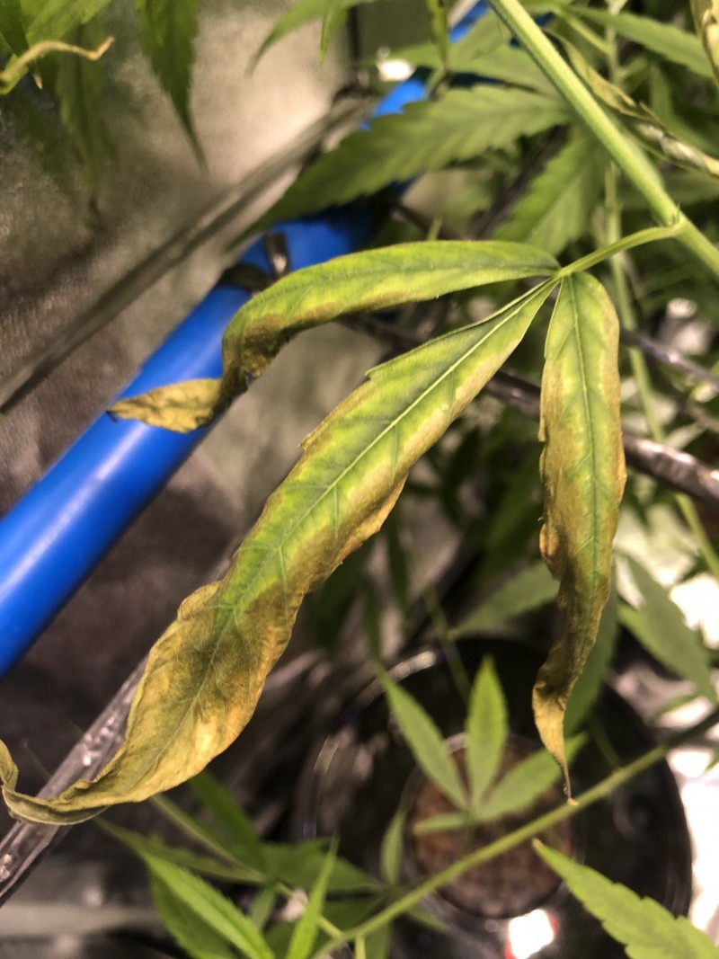 F0B53FB8-381B-4043-A992-25AC7F2A592E