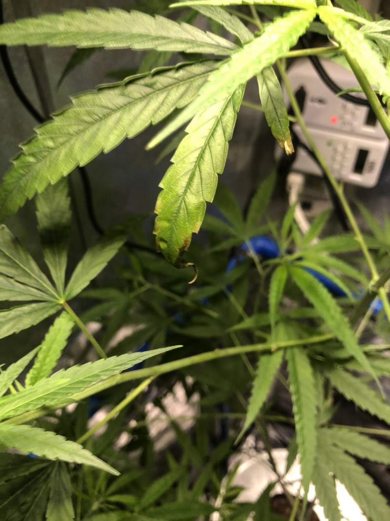 866D9022-2CE0-4125-919B-934F672AEC8B