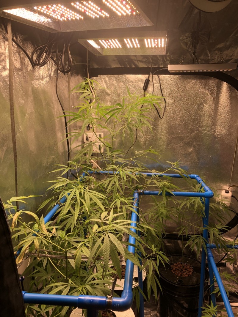 19D034C6-039C-46BC-8A22-5847F7C142CF